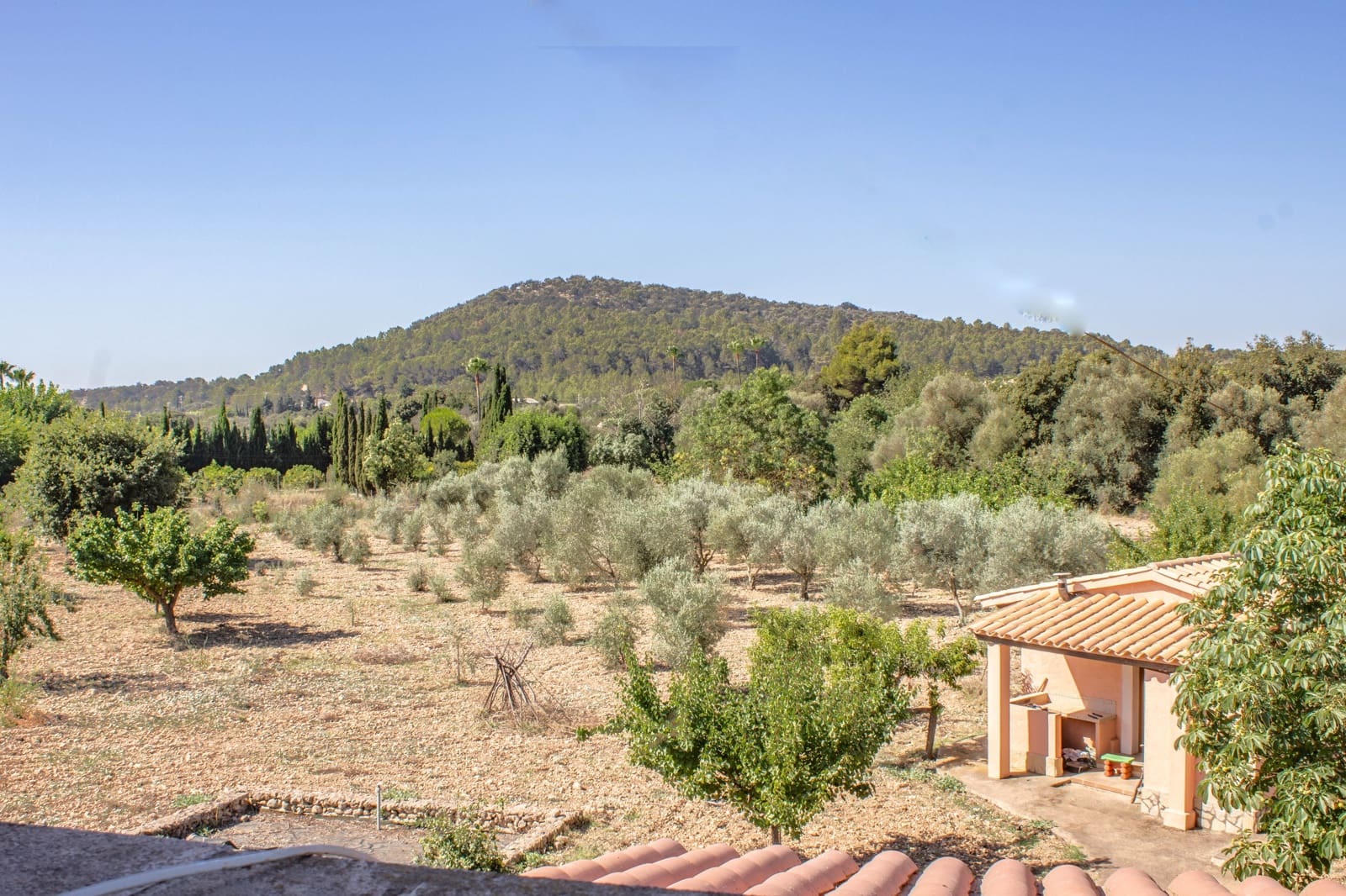 4 slaapkamer Finca/Landhuis te koop in Alaro met garage - € 3.650.000 (Ref: 9657869)