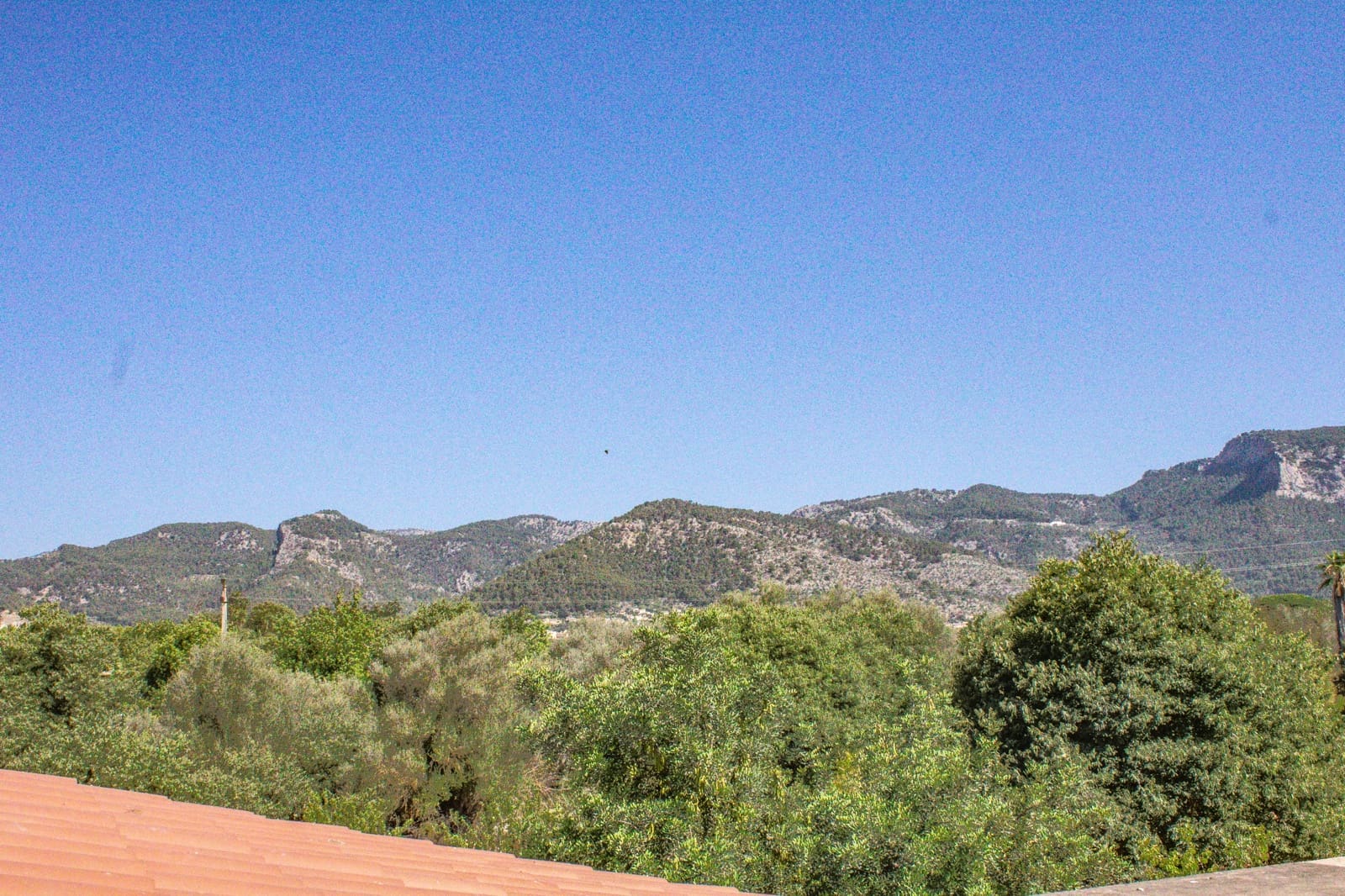 4 slaapkamer Finca/Landhuis te koop in Alaro met garage - € 3.650.000 (Ref: 9657869)