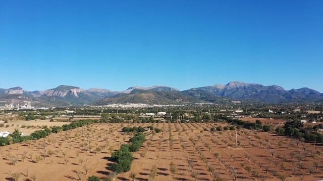 Terreno/Finca Rústica en Inca en venta - 1.700.000 € (Ref: 9679260)