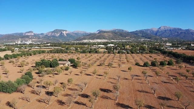 Terreno/Finca Rústica en Inca en venta - 1.700.000 € (Ref: 9679260)