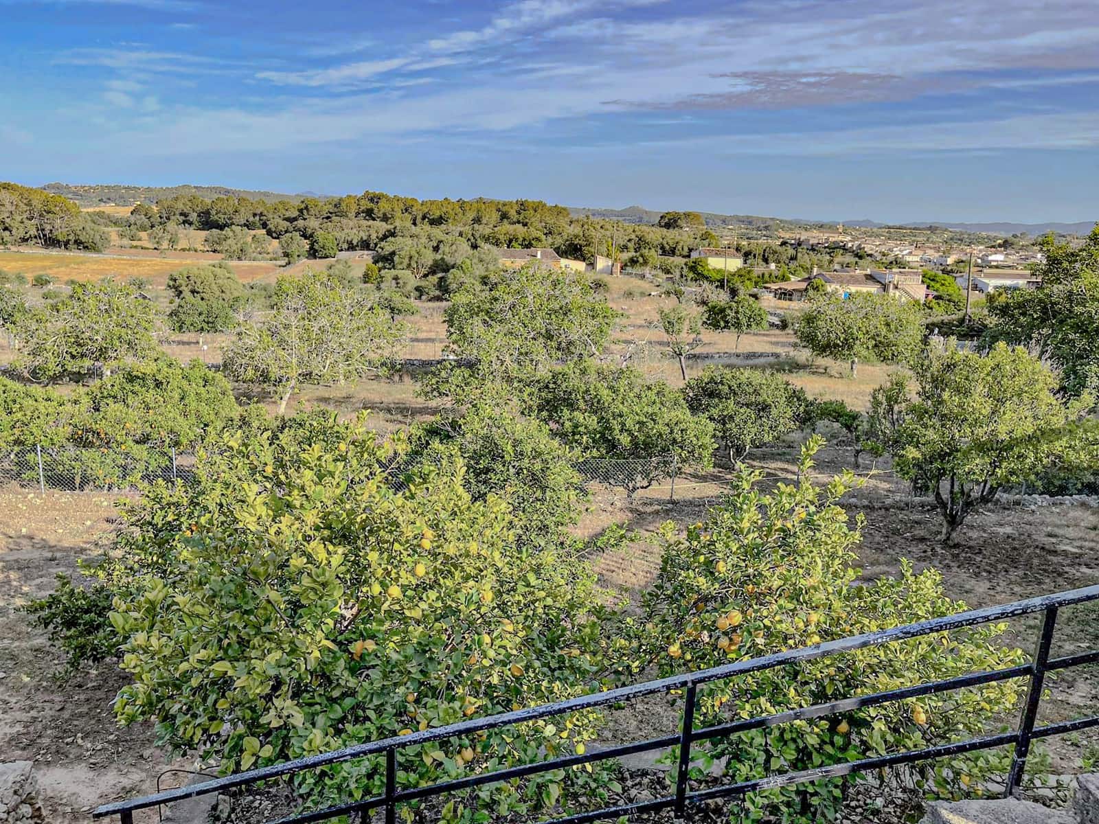 7 quarto Hotel para venda em Lloret de Vista Alegre com piscina garagem - 3 800 000 € (Ref: 9685651)