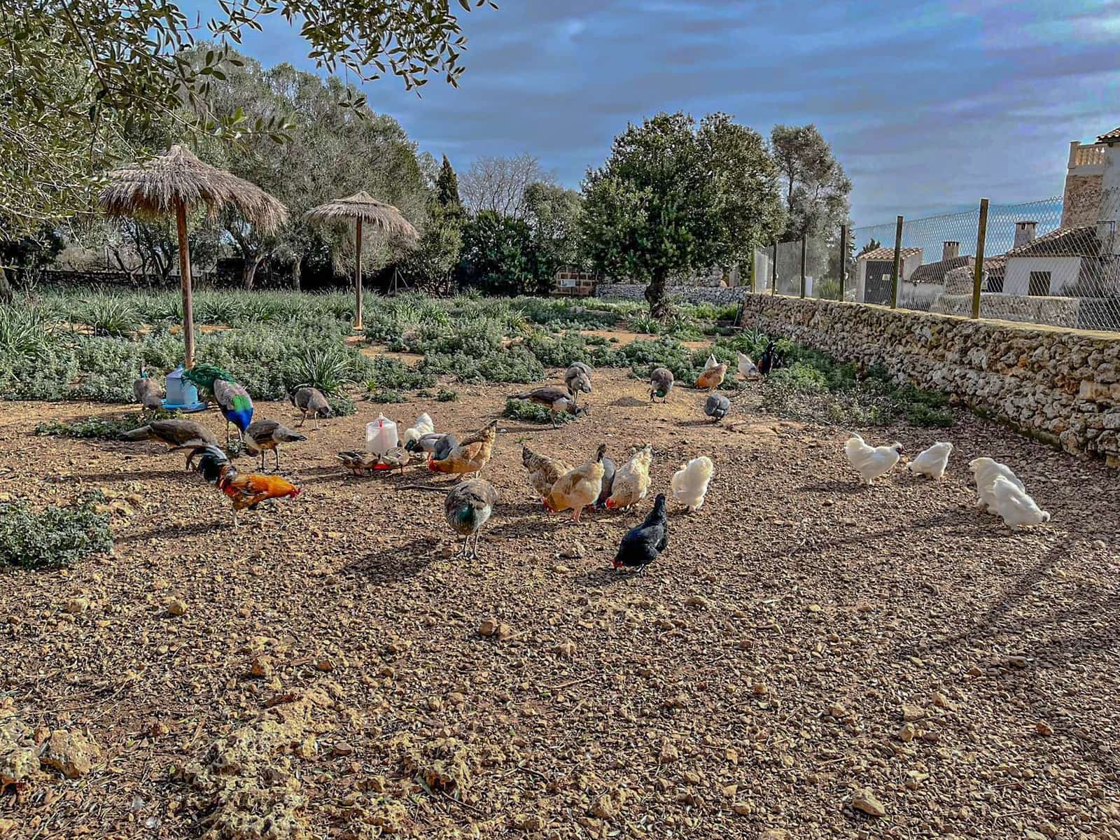 7 quarto Hotel para venda em Lloret de Vista Alegre com piscina garagem - 3 800 000 € (Ref: 9685651)