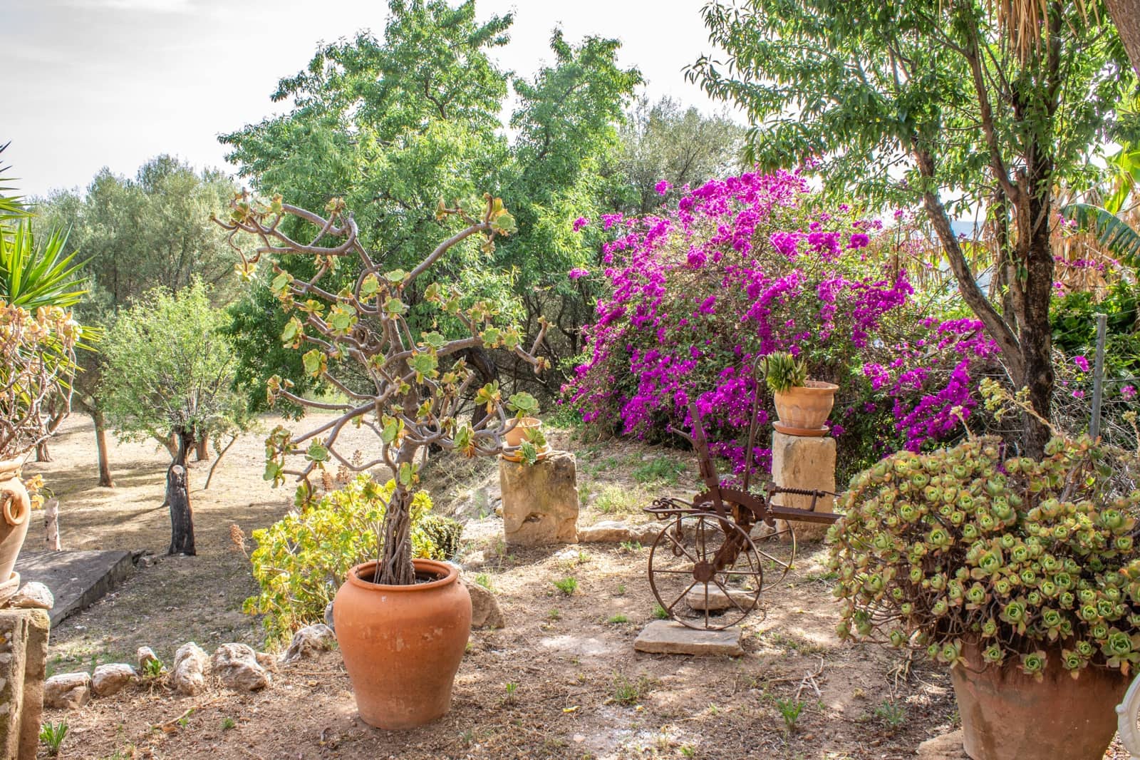 3 quarto Quinta/Casa Rural para venda em Andratx com garagem - 790 000 € (Ref: 9685668)