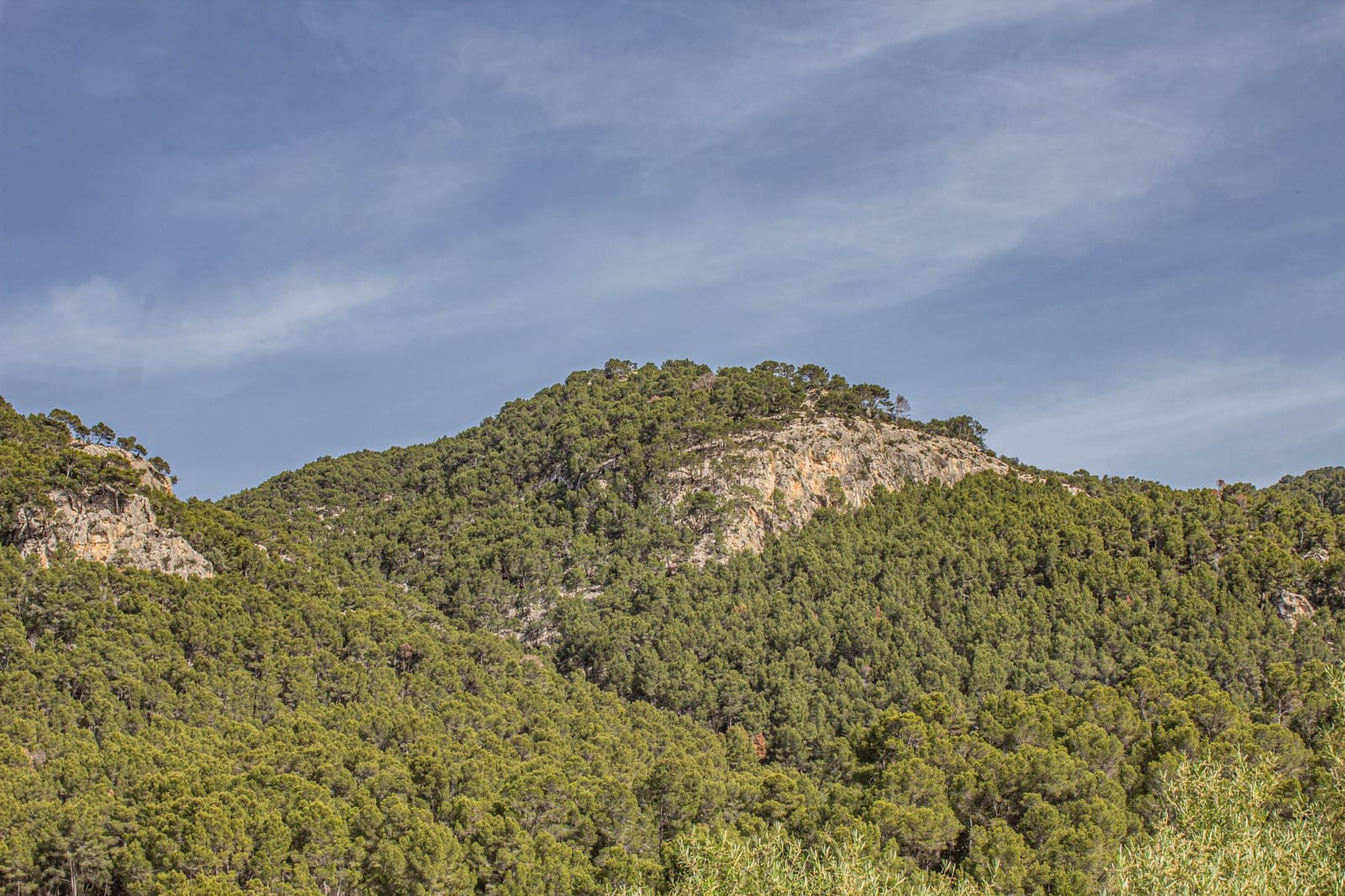 3 quarto Quinta/Casa Rural para venda em Andratx com garagem - 790 000 € (Ref: 9685668)