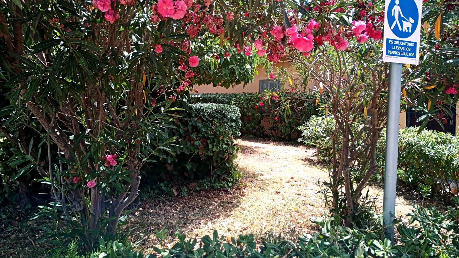 6 Zimmer Büro zu verkaufen in Son Caliu mit Pool - 350.000 € (Ref: 9685695)