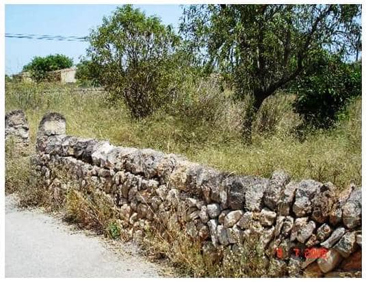 Area Edificabile in vendita in Calvia - 650.000 € (Rif: 9685775)