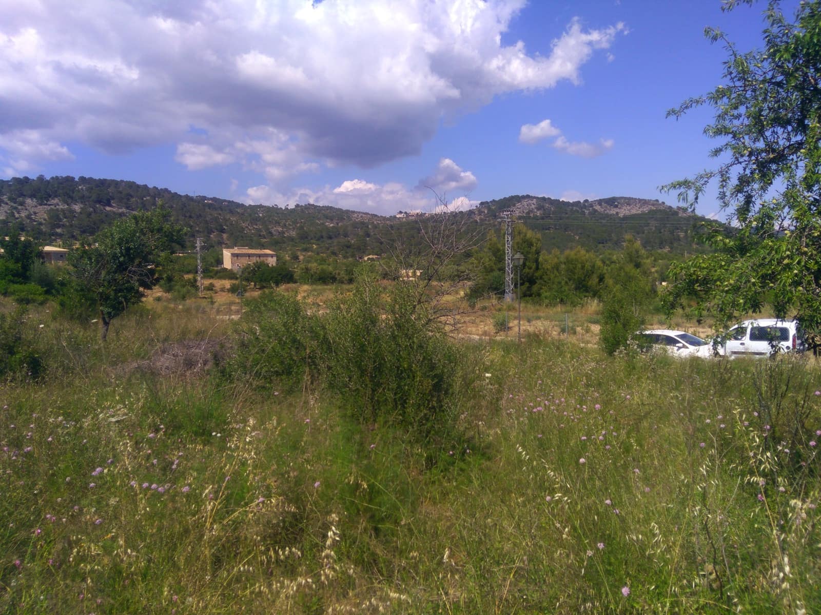 Area Edificabile in vendita in Calvia - 650.000 € (Rif: 9685775)