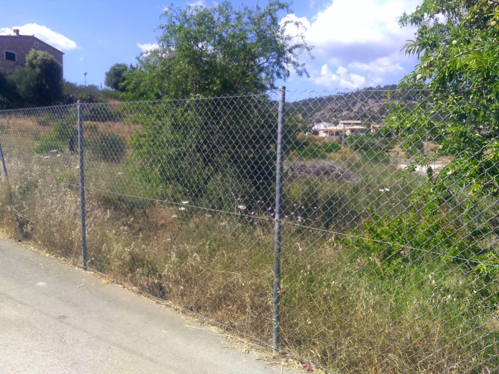 Area Edificabile in vendita in Calvia - 650.000 € (Rif: 9685775)