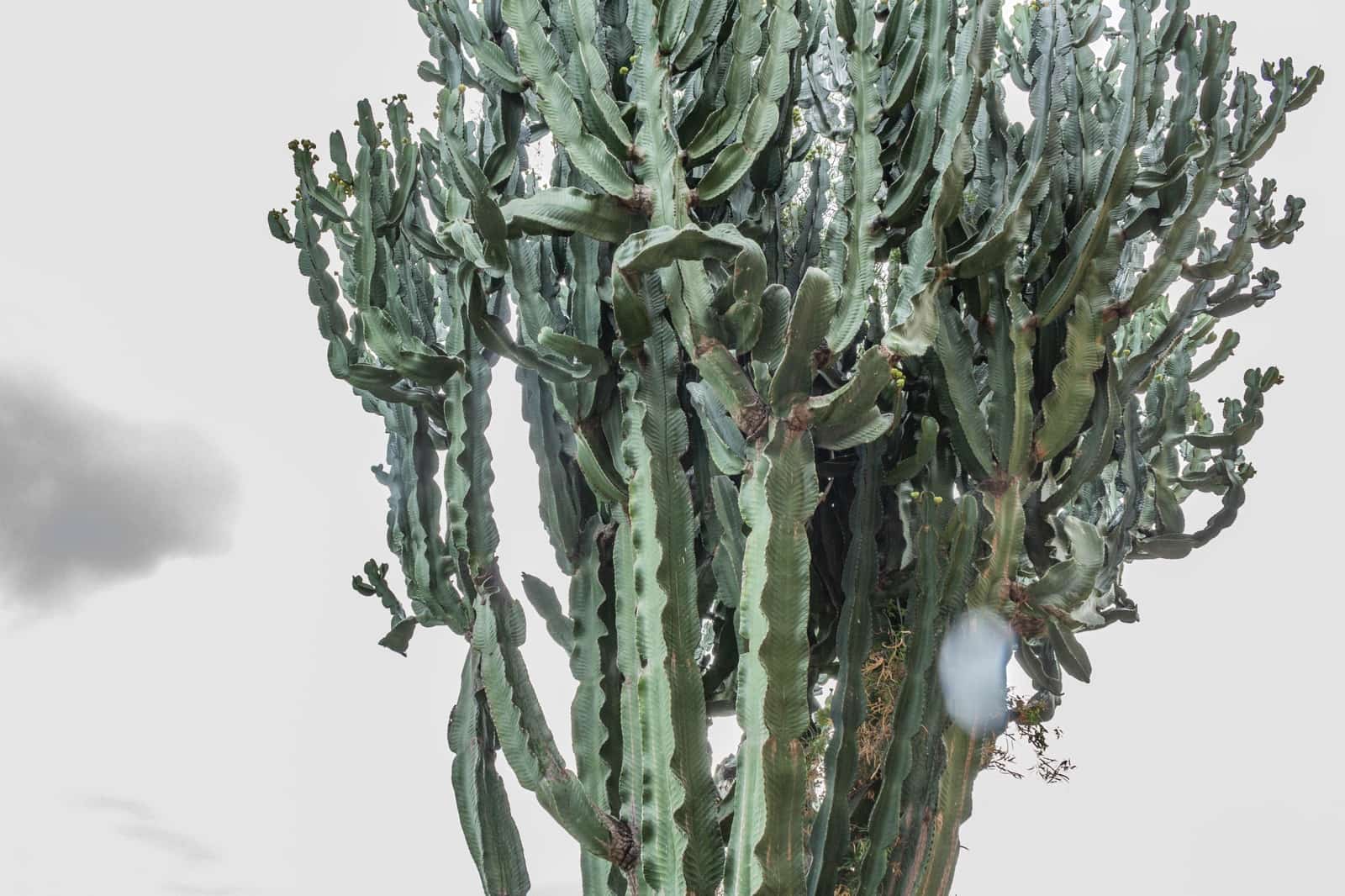 3 soveværelse Villa til salg i Esporles med swimmingpool garage - € 1.480.000 (Ref: 9688669)