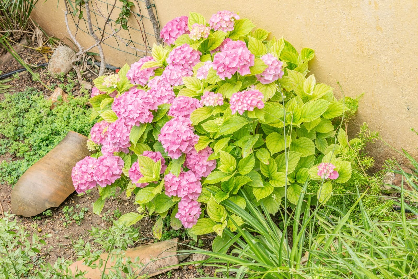 3 soveværelse Villa til salg i Esporles med swimmingpool garage - € 1.480.000 (Ref: 9688669)