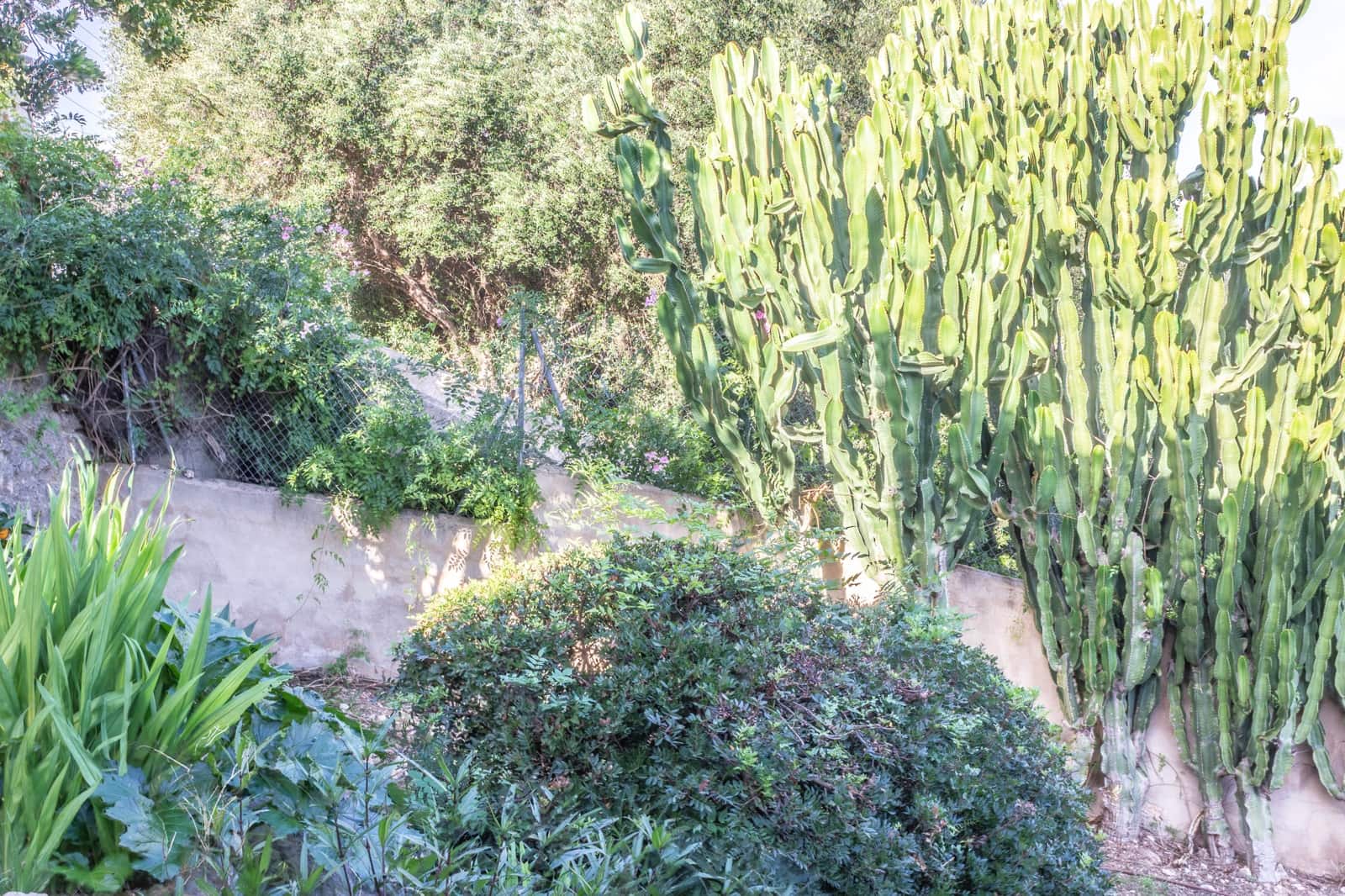 3 soveværelse Villa til salg i Esporles med swimmingpool garage - € 1.480.000 (Ref: 9688669)