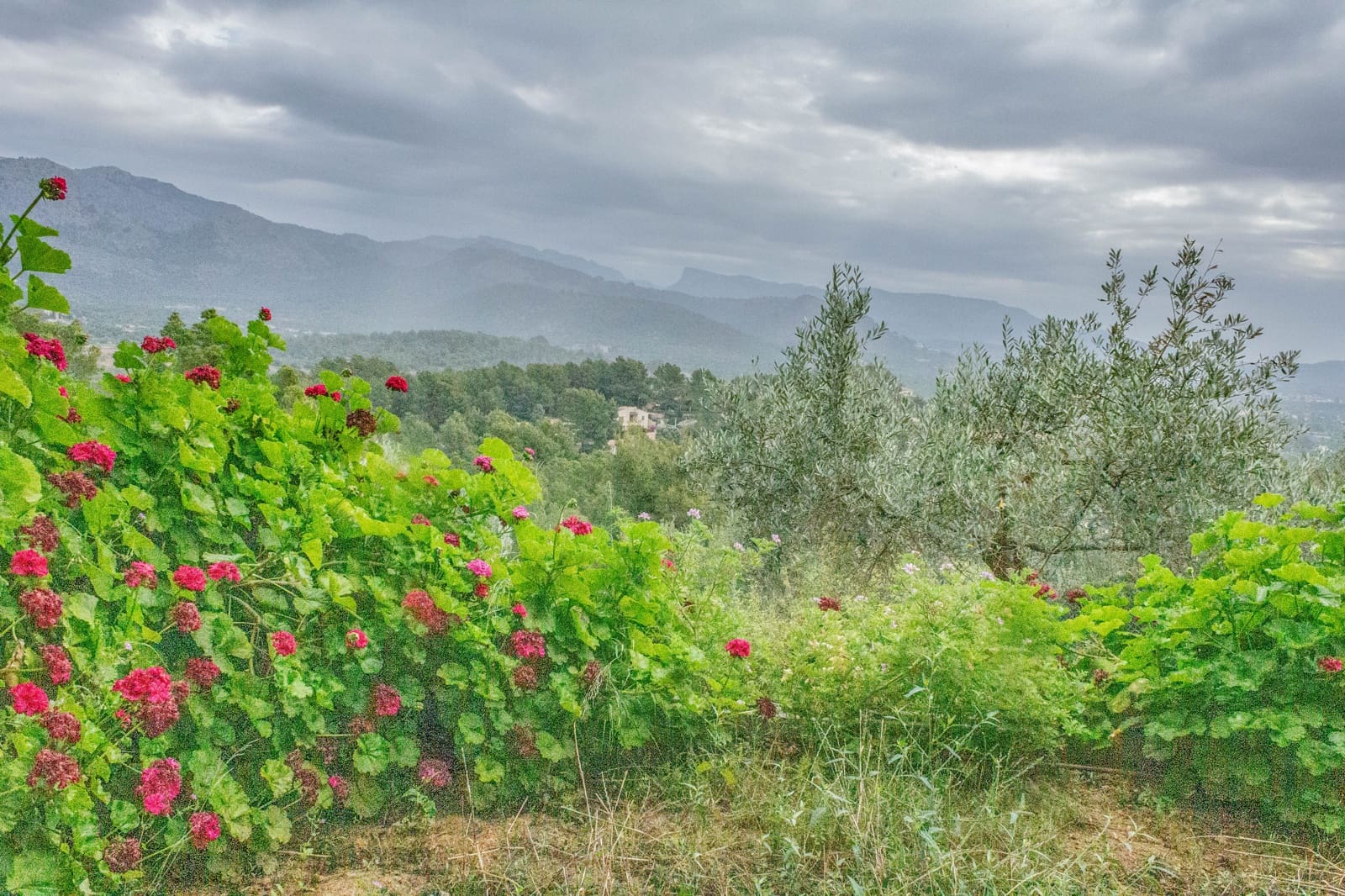 3 soveværelse Villa til salg i Esporles med swimmingpool garage - € 1.480.000 (Ref: 9688669)