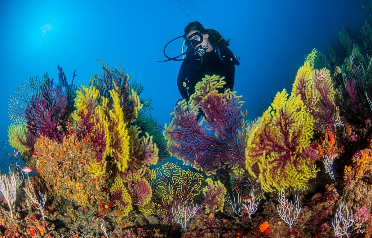 Appartement de Plage de 3 chambres de location de vacances à L'Estartit avec garage - 300 € (Ref: 9669546)