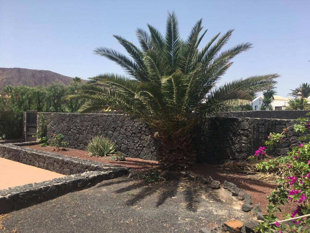 3 bedroom Villa for holiday rental in Yaiza with pool garage - € 1,250 (Ref: 9707803)