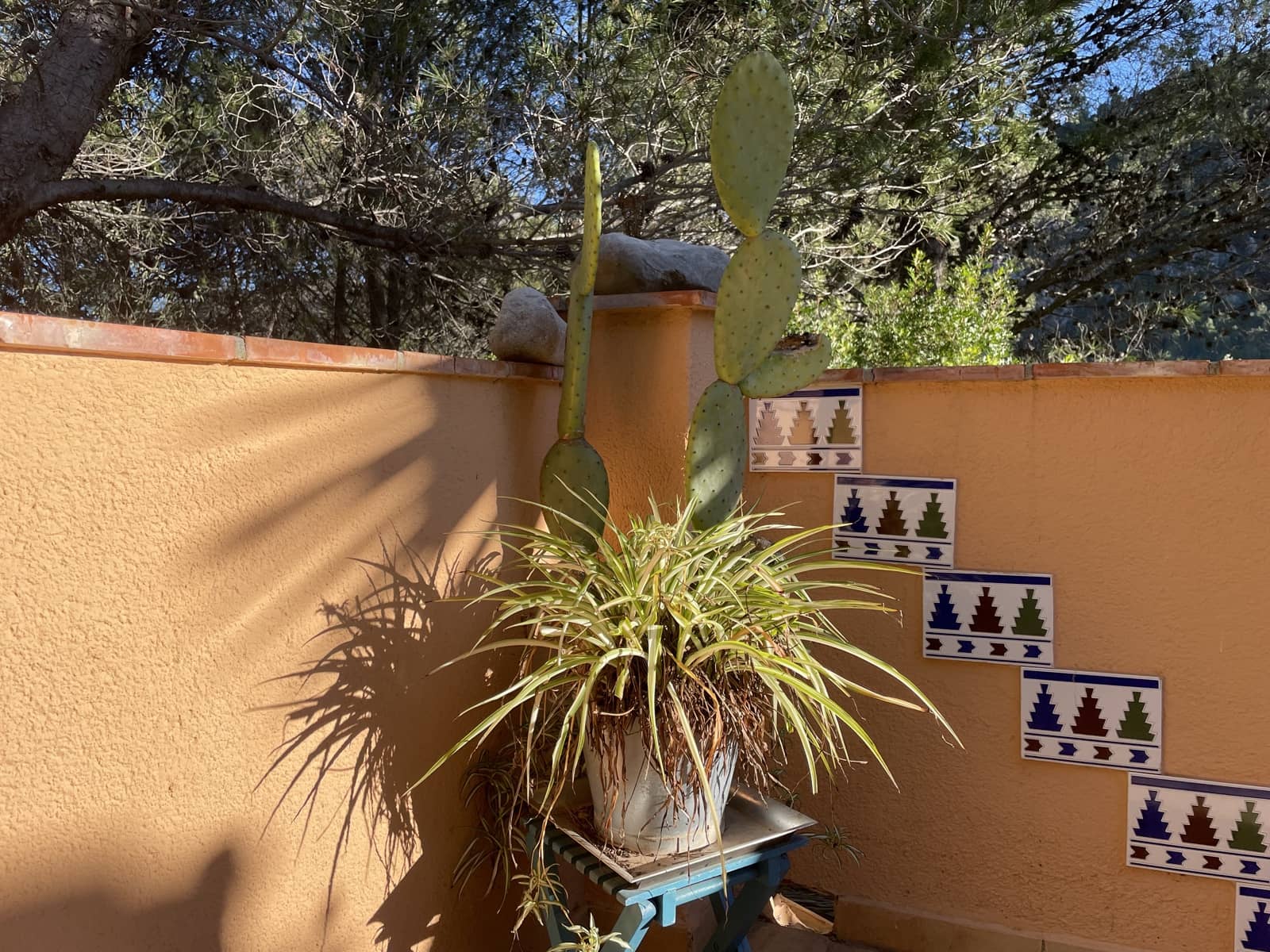 4 sovrum Finca/Hus på landet till salu i Castell de Castells med pool - 465 000 € (Ref: 9669331)