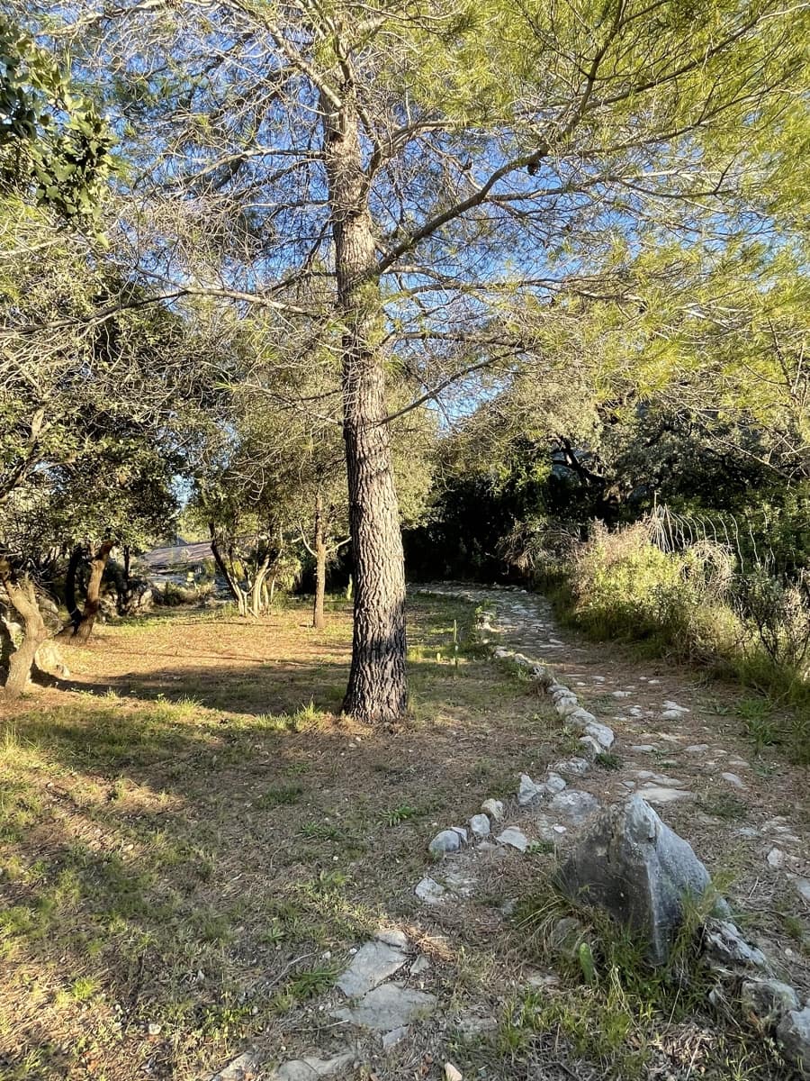 4 sovrum Finca/Hus på landet till salu i Castell de Castells med pool - 465 000 € (Ref: 9669331)