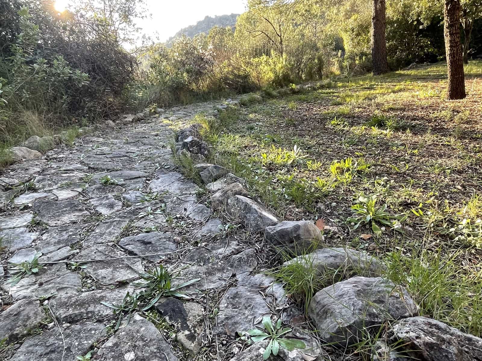 4 sovrum Finca/Hus på landet till salu i Castell de Castells med pool - 465 000 € (Ref: 9669331)