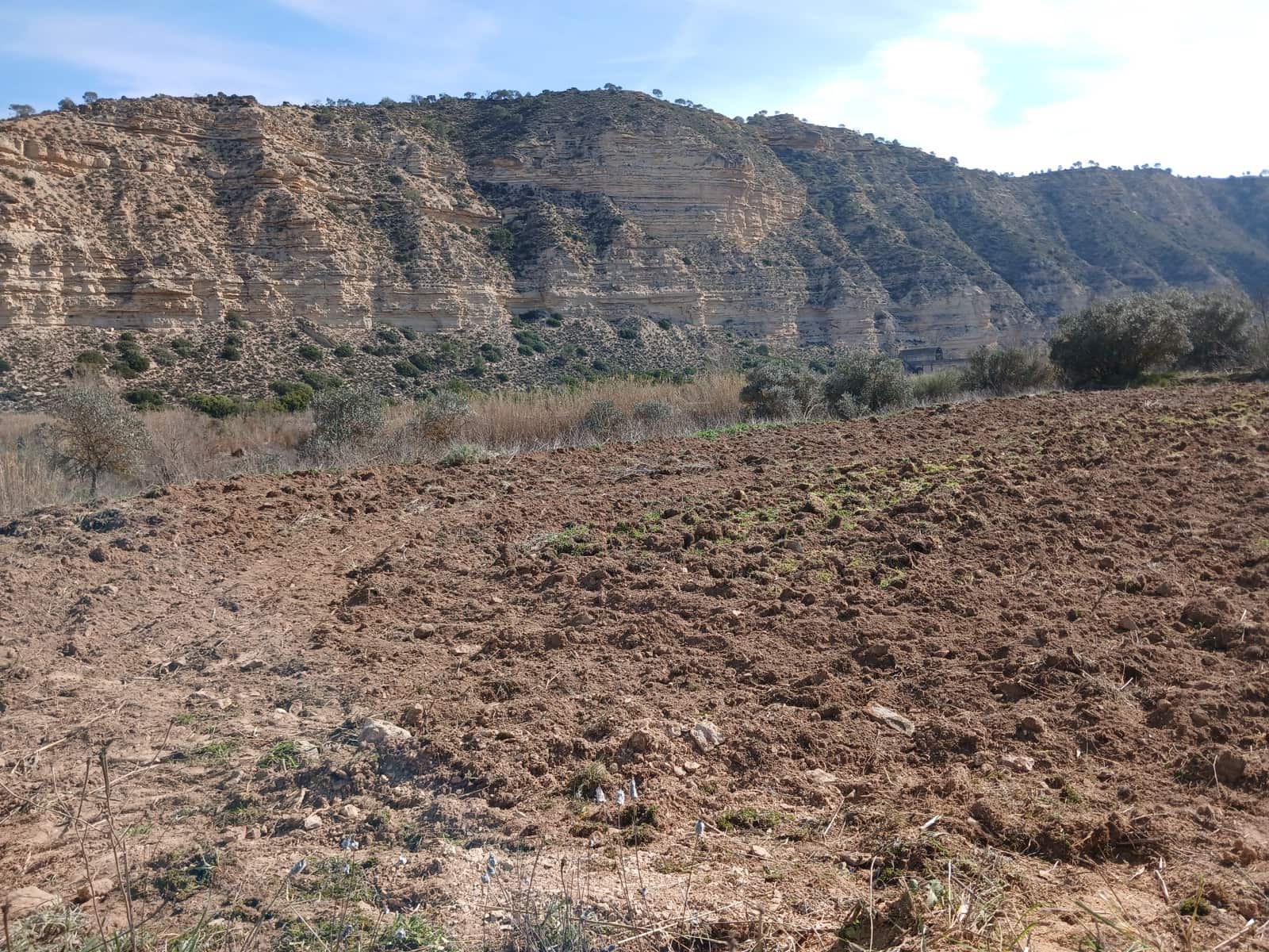 Finca/Country House for sale in Nonaspe - € 12,500 (Ref: 9687248)