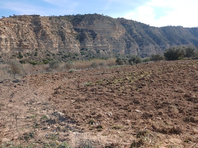 Finca/Maison de Campagne à vendre à Nonaspe - 12 500 € (Ref: 9687248)