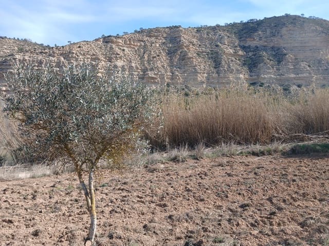 Finca/Maison de Campagne à vendre à Nonaspe - 12 500 € (Ref: 9687248)