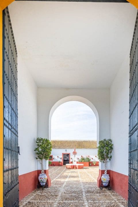 9 bedroom Finca/Country House for sale in Carmona with pool garage - € 2,500,000 (Ref: 9715195)