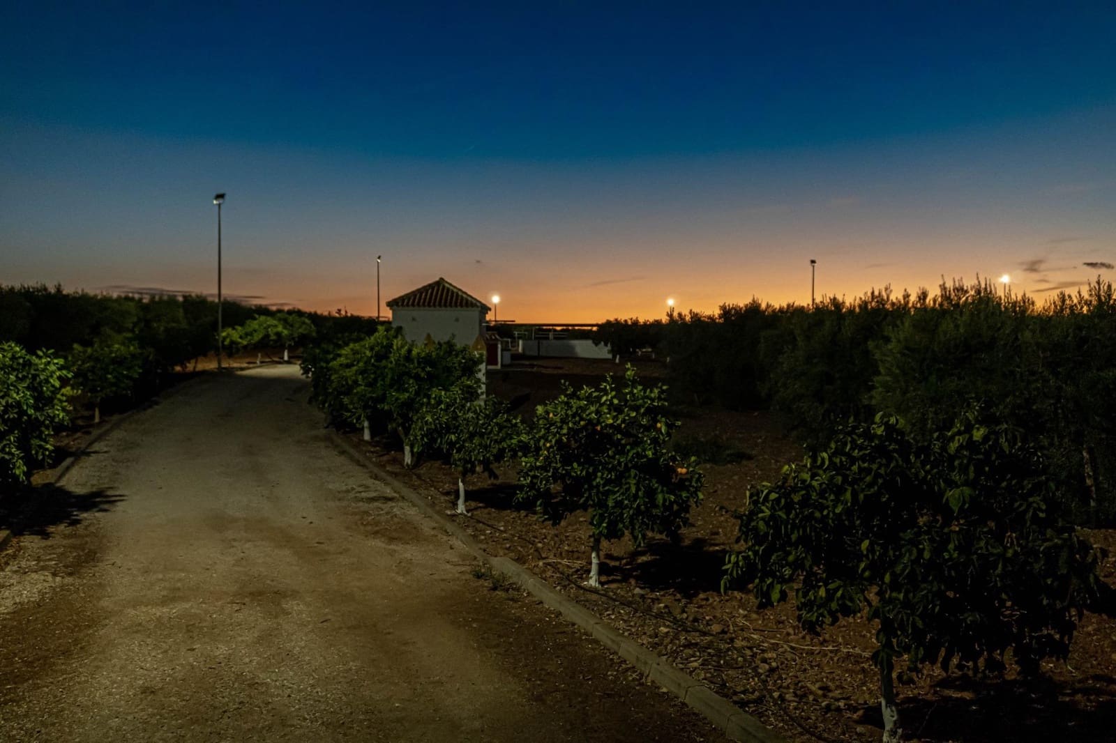 9 bedroom Finca/Country House for sale in Carmona with garage - € 1,600,000 (Ref: 9715198)