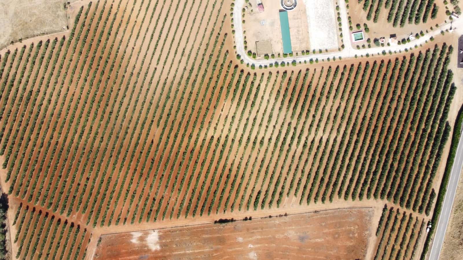 9 bedroom Finca/Country House for sale in Carmona with garage - € 1,600,000 (Ref: 9715198)