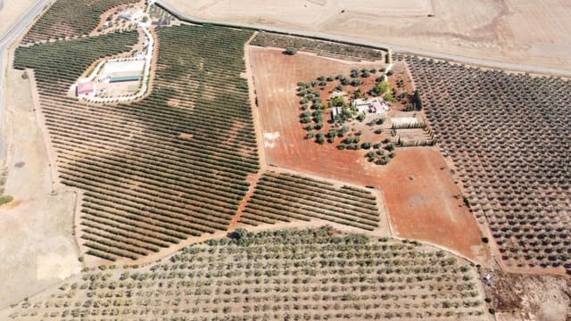 Finca/Casa Rural de 9 habitaciones en Carmona en venta con garaje - 1.600.000 € (Ref: 9715198)