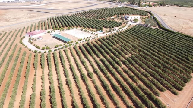 Finca/Casa Rural de 9 habitaciones en Carmona en venta con garaje - 1.600.000 € (Ref: 9715198)