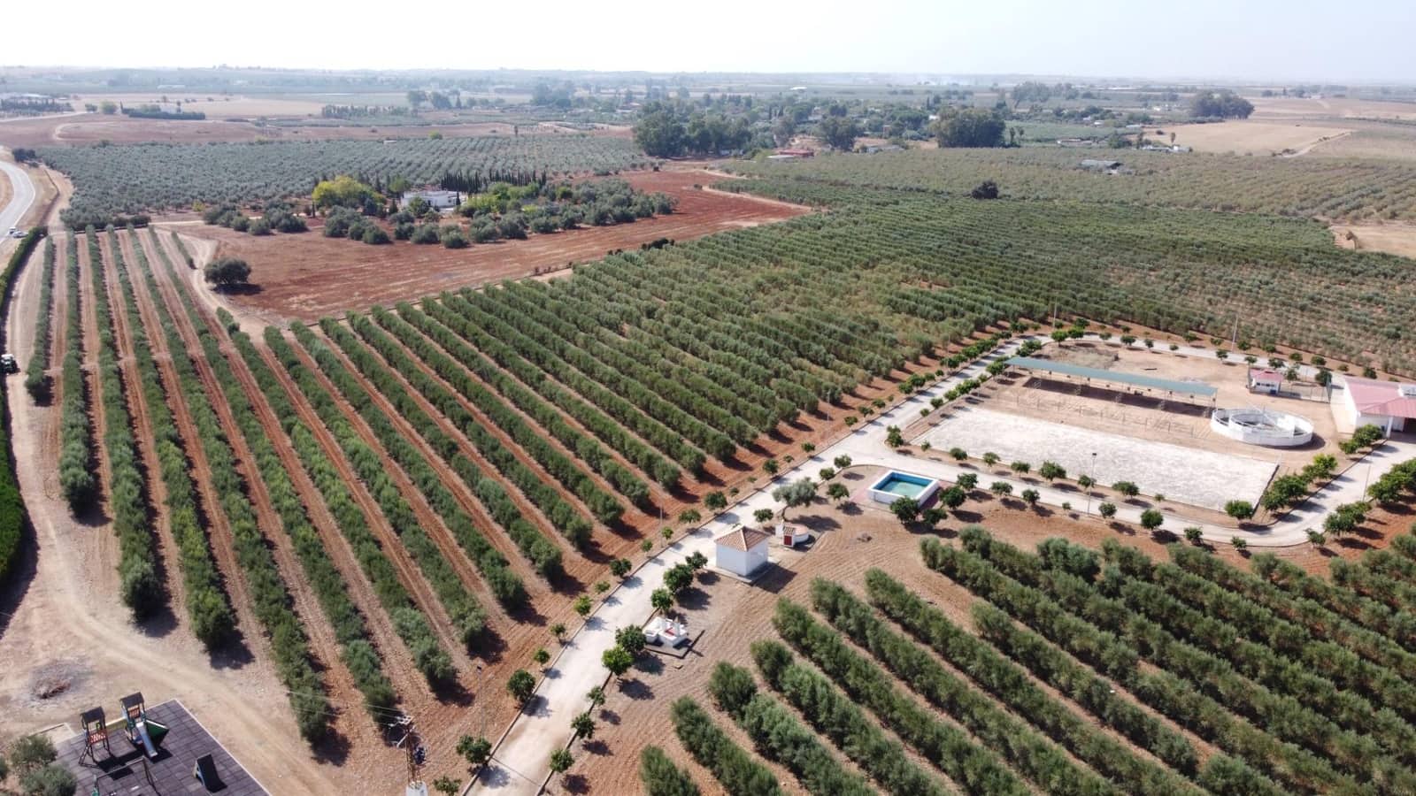 9 bedroom Finca/Country House for sale in Carmona with garage - € 1,600,000 (Ref: 9715198)