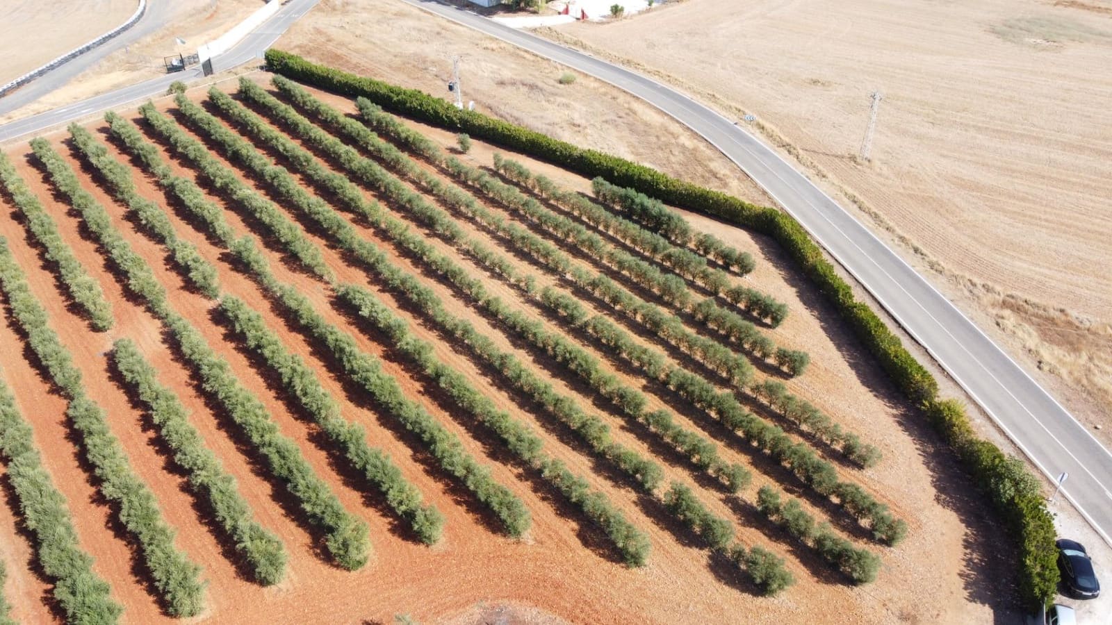 9 bedroom Finca/Country House for sale in Carmona with garage - € 1,600,000 (Ref: 9715198)