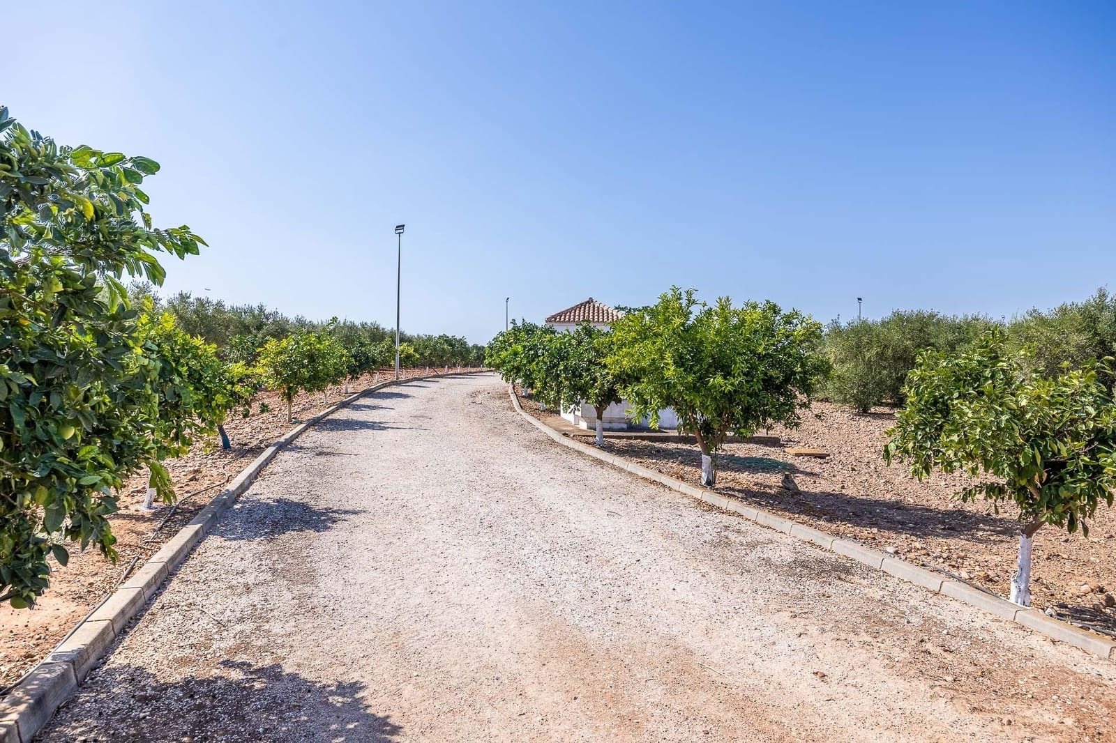 9 bedroom Finca/Country House for sale in Carmona with garage - € 1,600,000 (Ref: 9715198)