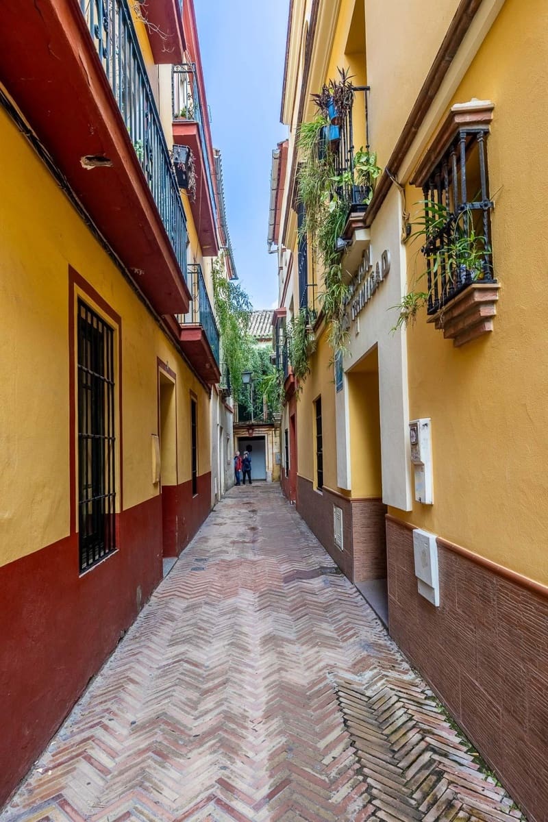 6 Zimmer Haus zu verkaufen in Sevilla Stadt - 1.600.000 € (Ref: 9715204)