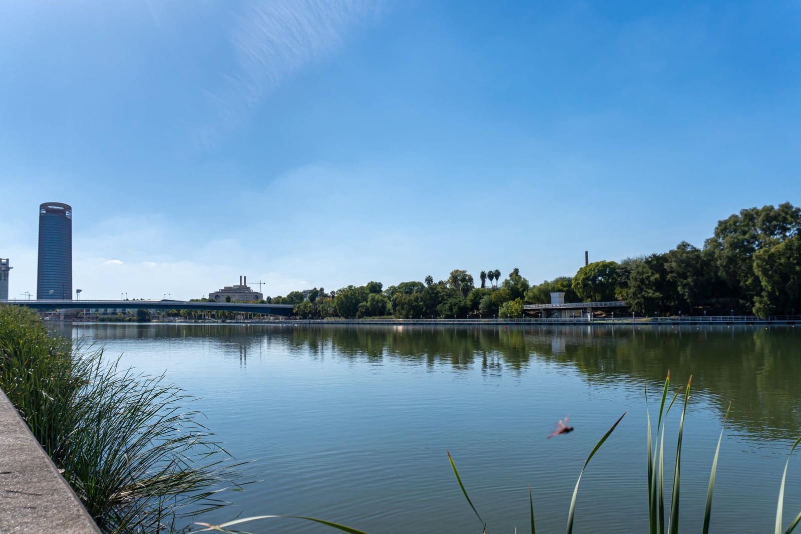 2 bedroom Flat for sale in Seville city - € 280,000 (Ref: 9721665)