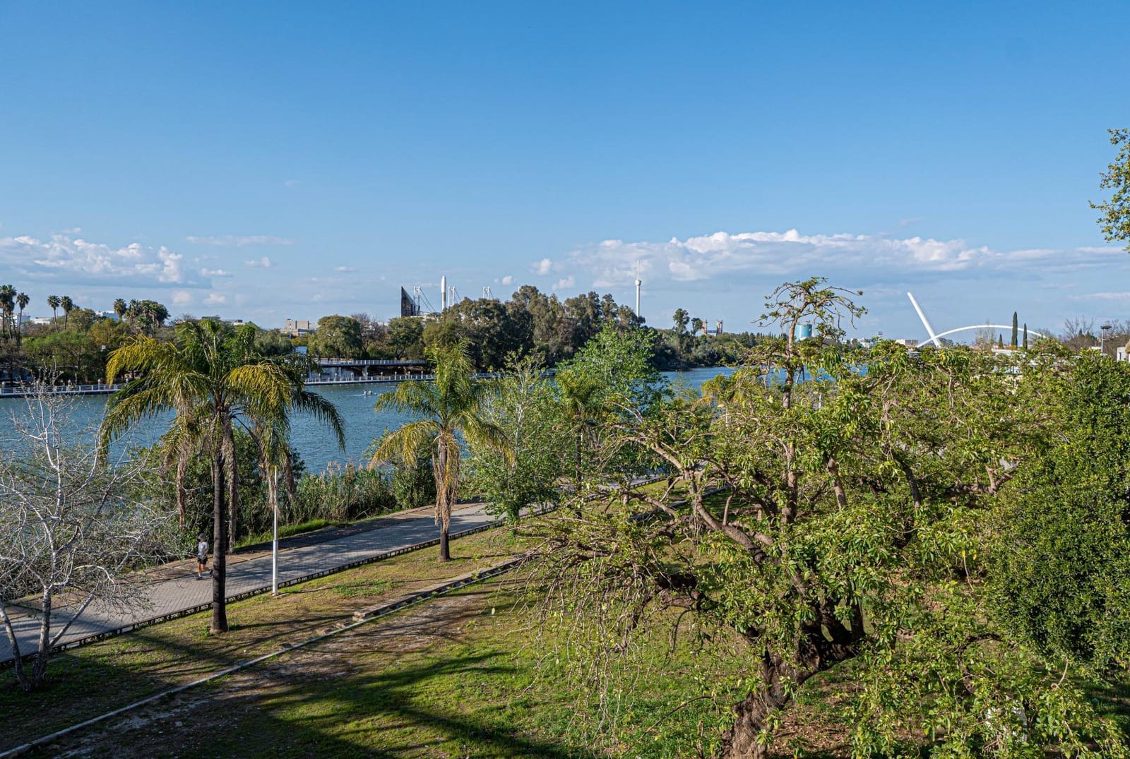 2 bedroom Flat for sale in Seville city - € 280,000 (Ref: 9721665)