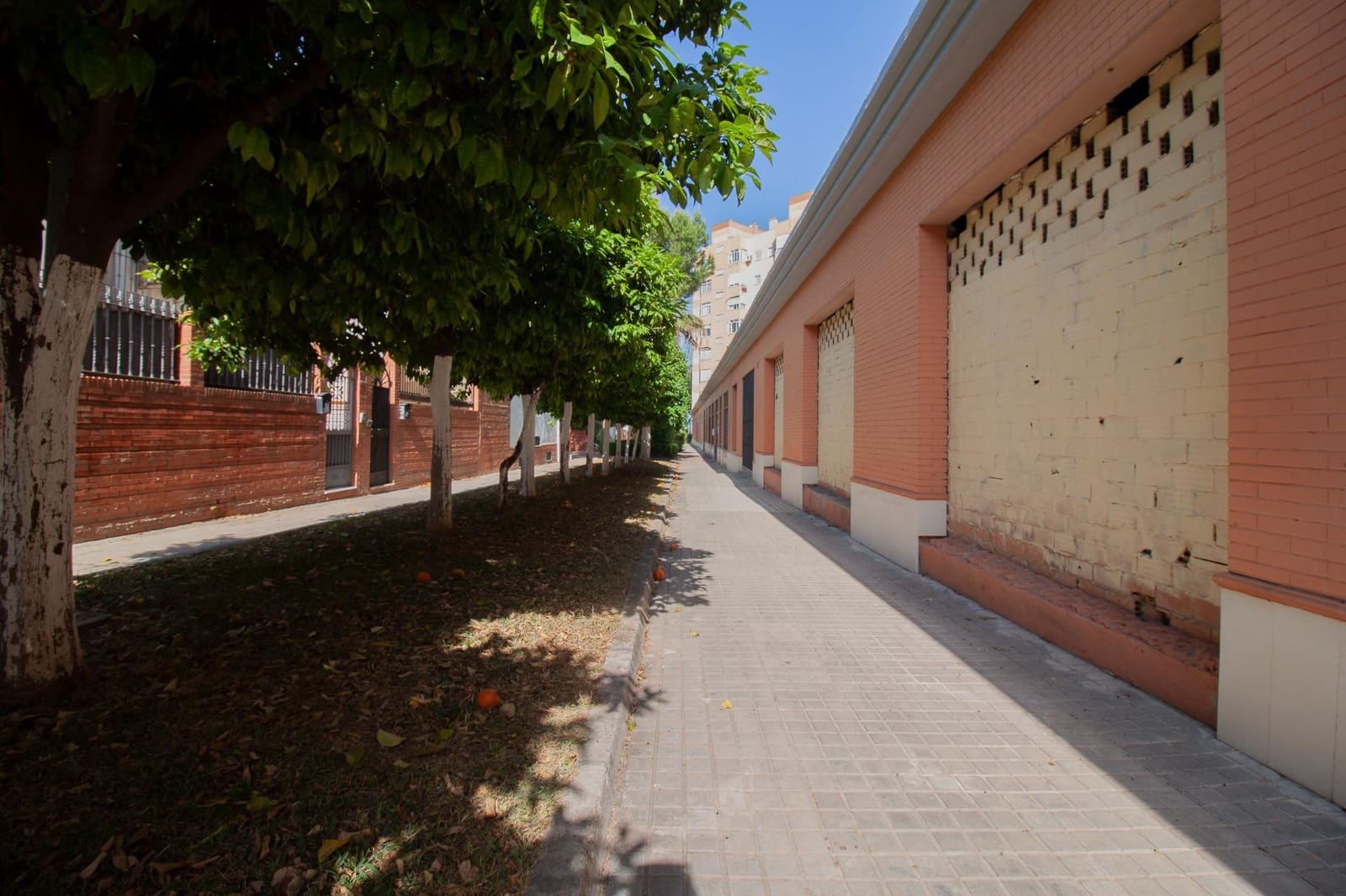 Commercial for sale in Seville city - € 285,000 (Ref: 9818184)