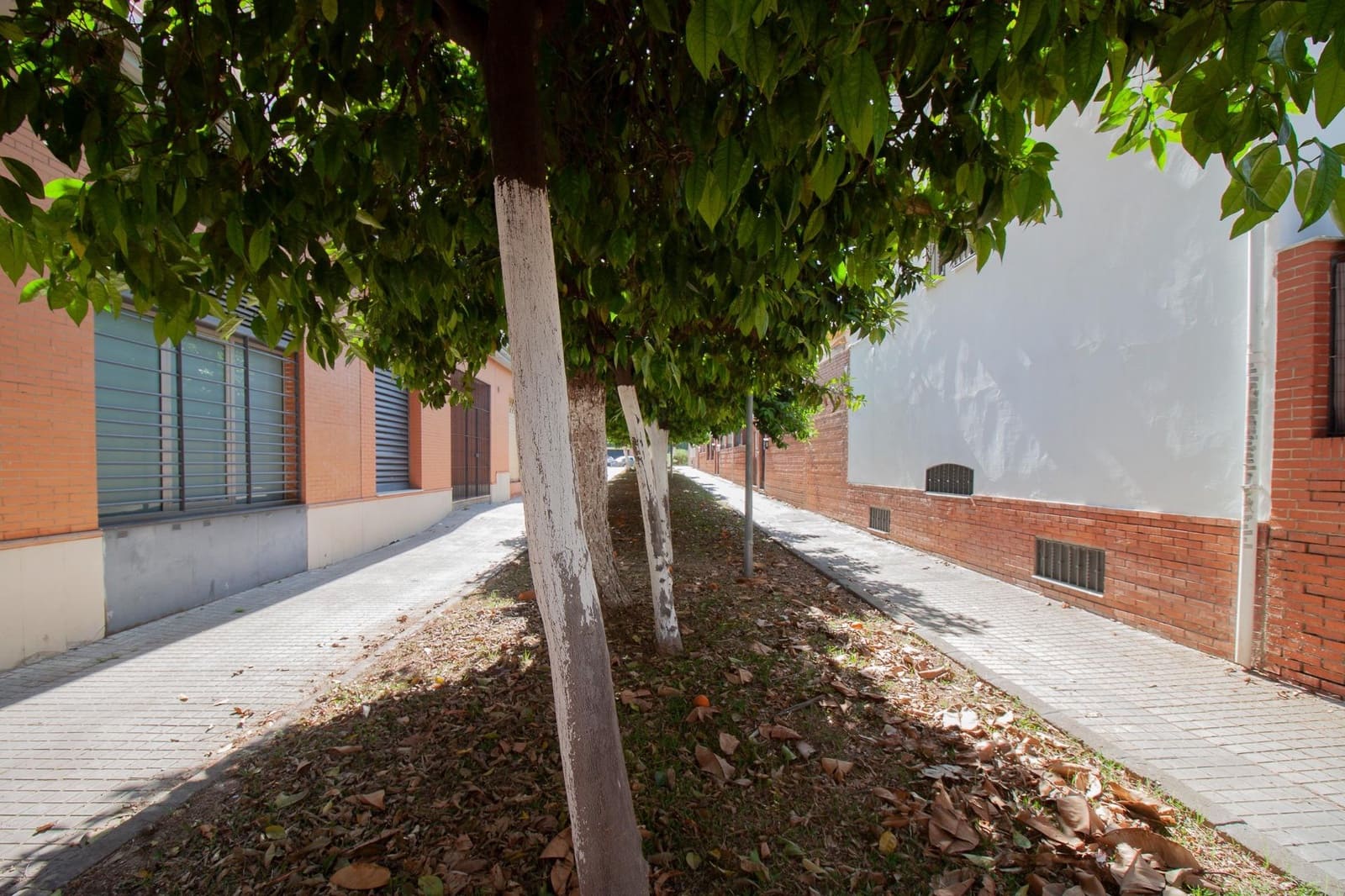 Commercial for sale in Seville city - € 285,000 (Ref: 9818184)