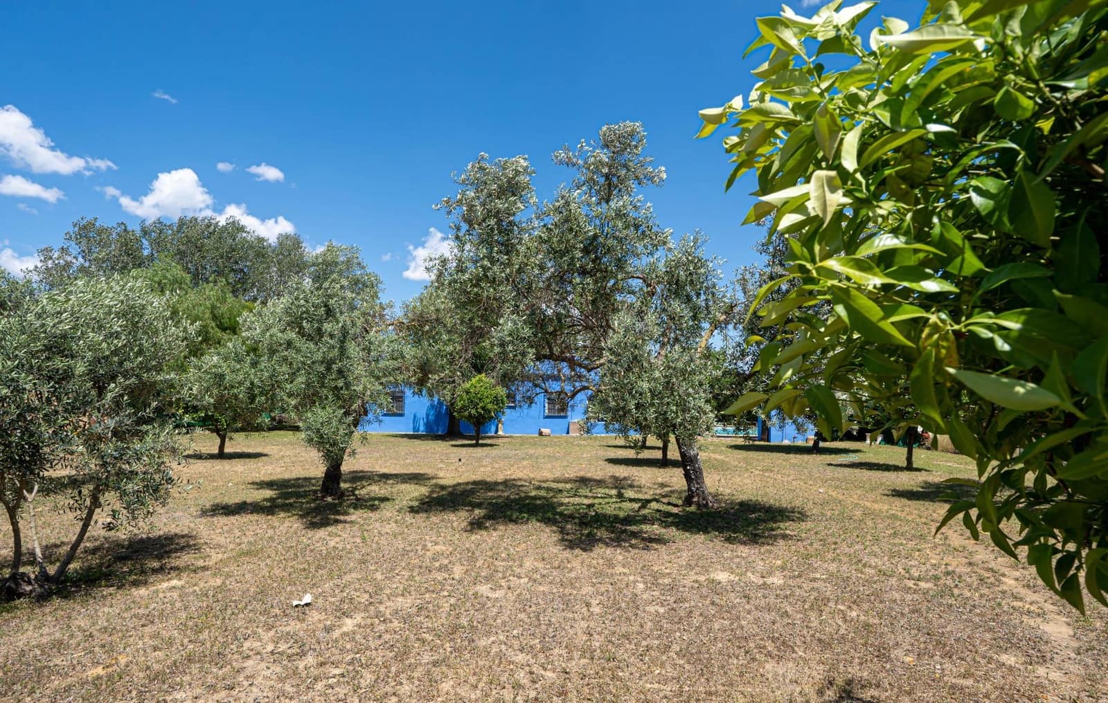 3 soveværelse Finca/Landehus til salg i Marchena med swimmingpool garage - € 212.000 (Ref: 9831335)