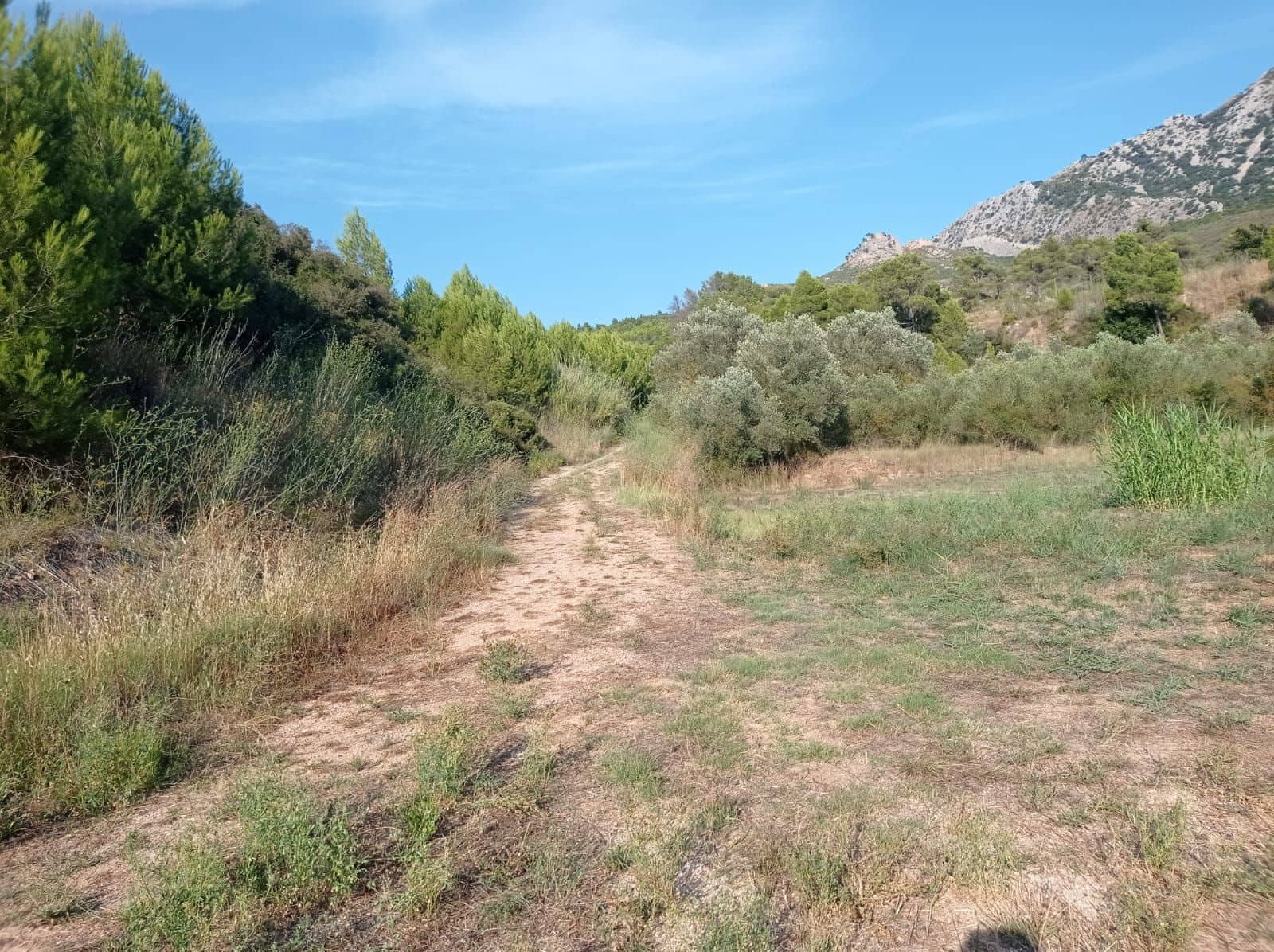 Quinta/Casa Rural para venda em Horta de Sant Joan - 46 000 € (Ref: 9707705)