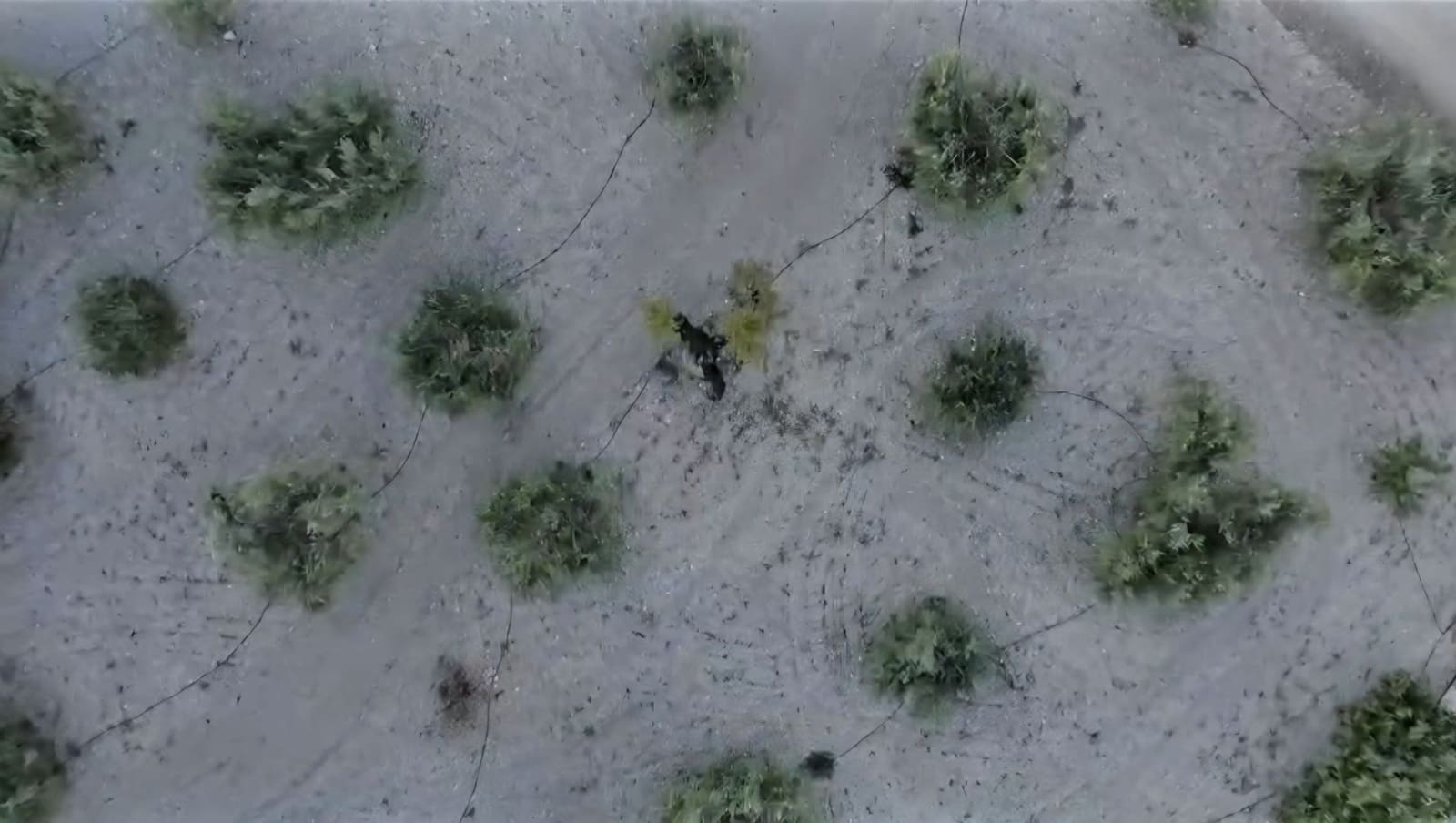 13 soveværelse Hotel til salg i Velez-Blanco med swimmingpool garage - € 1.300.000 (Ref: 9707709)