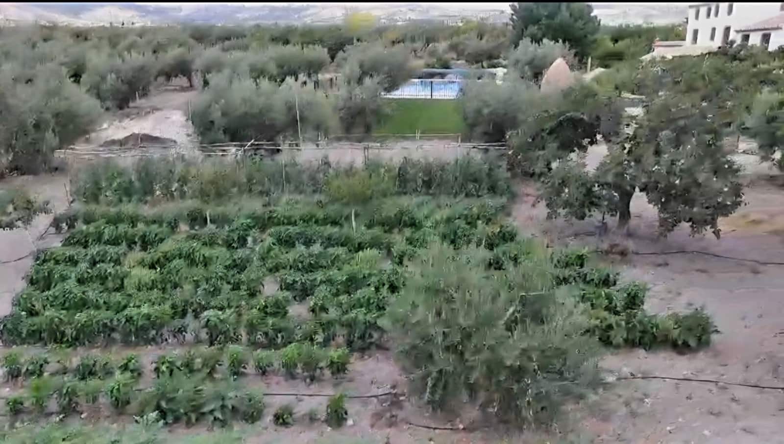 13 soveværelse Hotel til salg i Velez-Blanco med swimmingpool garage - € 1.300.000 (Ref: 9707709)