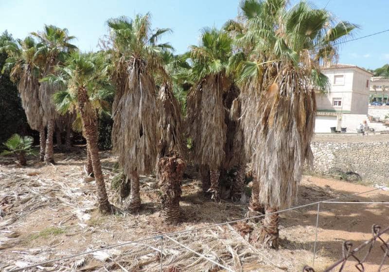 Bauplatz zu verkaufen in Benissa - 3.800.000 € (Ref: 9720666)