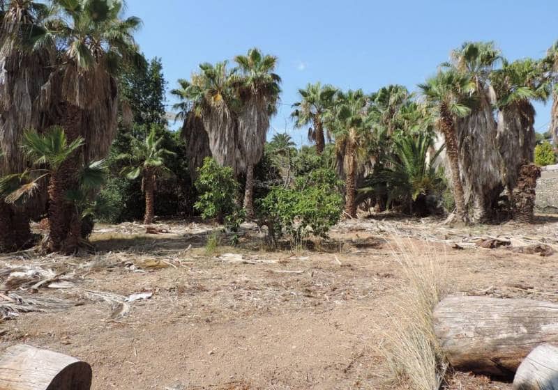 Bauplatz zu verkaufen in Benissa - 3.800.000 € (Ref: 9720666)