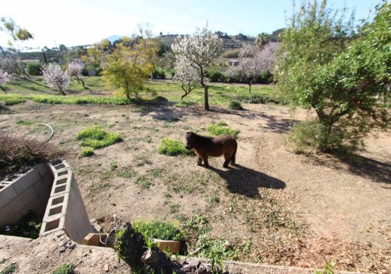 6 bedroom Villa for sale in Altea with pool - € 1,100,000 (Ref: 9788079)