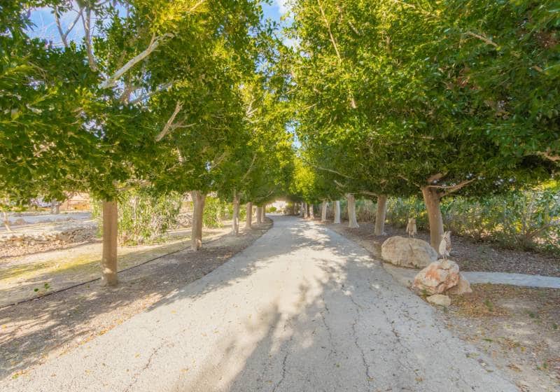 5 sypialnia Willa na sprzedaż w Benissa z basenem - 1 900 000 € (Ref: 9796081)