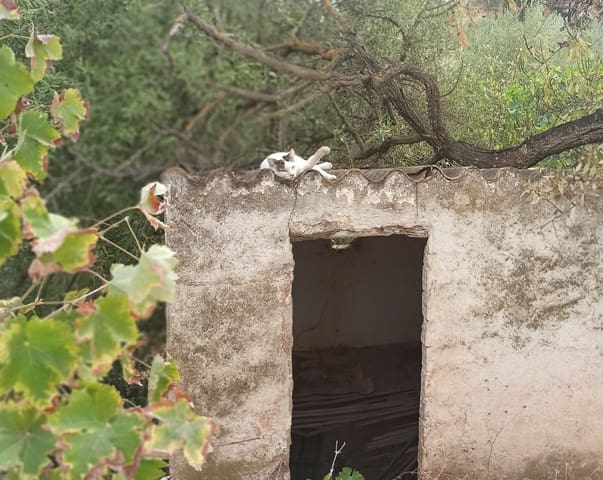 4 sovrum Hus till salu i Casabermeja med garage - 420 000 € (Ref: 9687465)