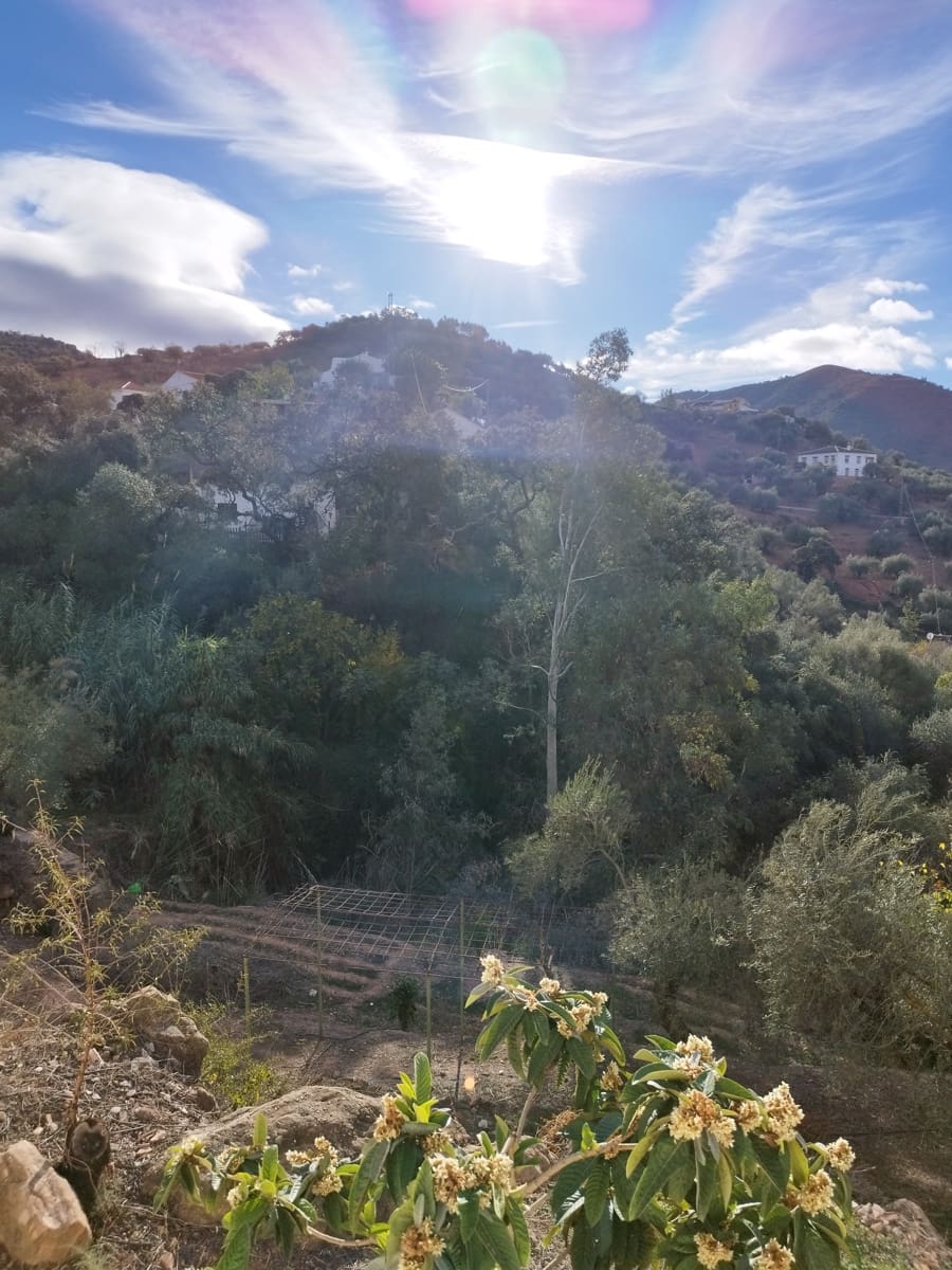 4 sovrum Hus till salu i Casabermeja med garage - 420 000 € (Ref: 9687465)