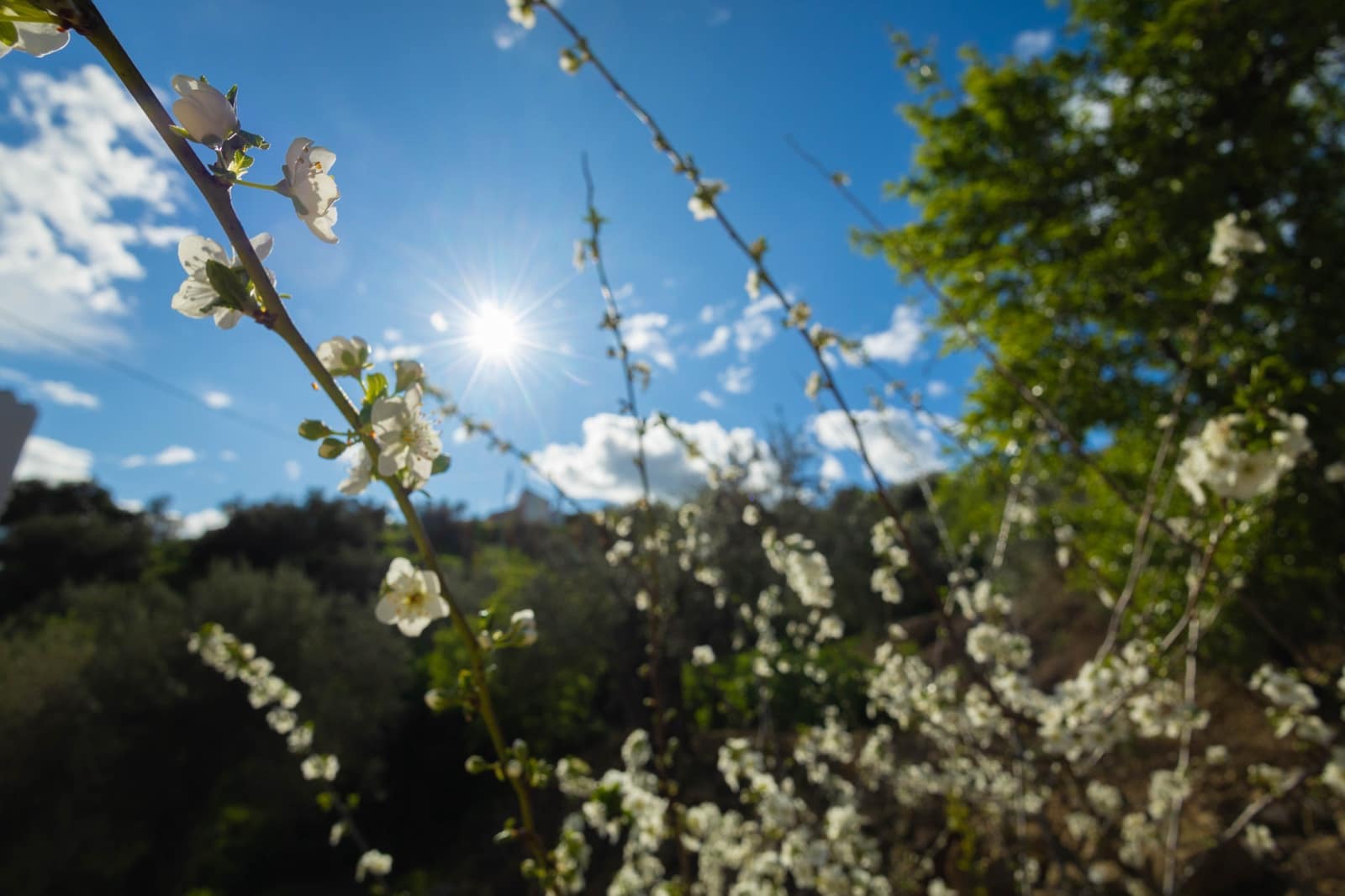 4 sovrum Hus till salu i Casabermeja med garage - 420 000 € (Ref: 9687465)