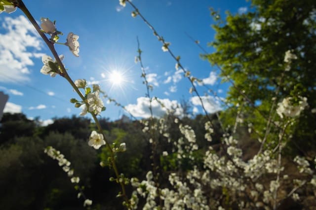 4 sovrum Hus till salu i Casabermeja med garage - 420 000 € (Ref: 9687465)