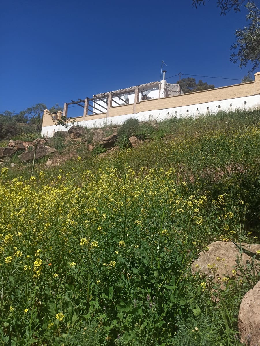 4 sovrum Hus till salu i Casabermeja med garage - 420 000 € (Ref: 9687465)